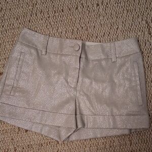 Silver Women's Shorts